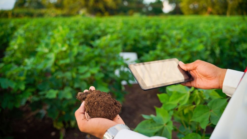 soil health