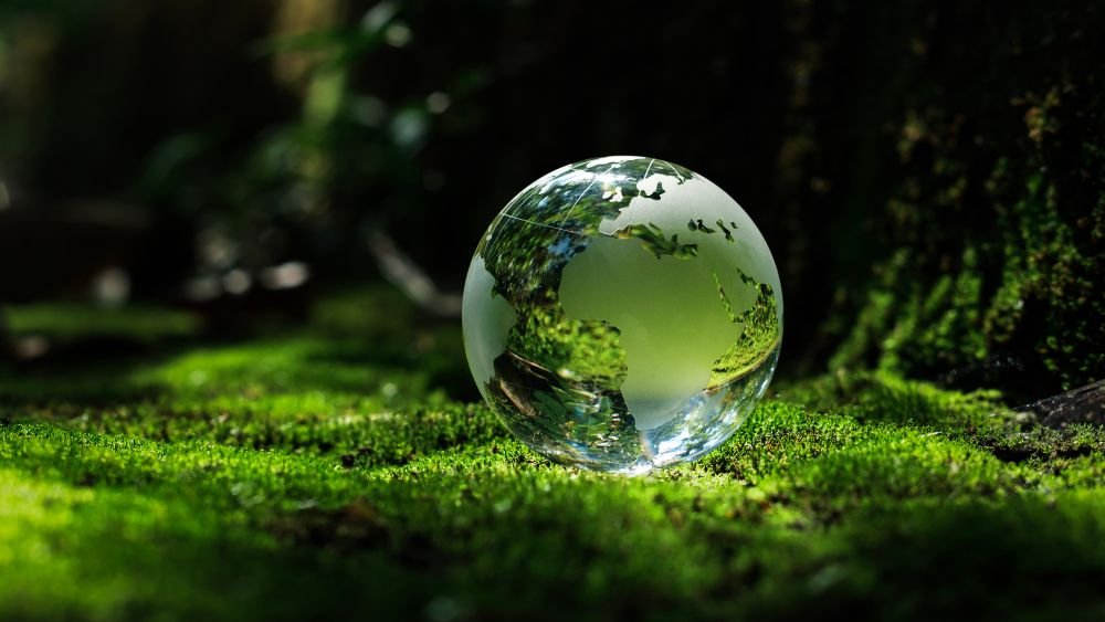 Net Zero