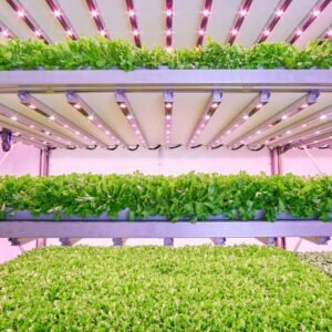 Planet Farms