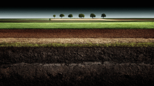 Regenerative Farming