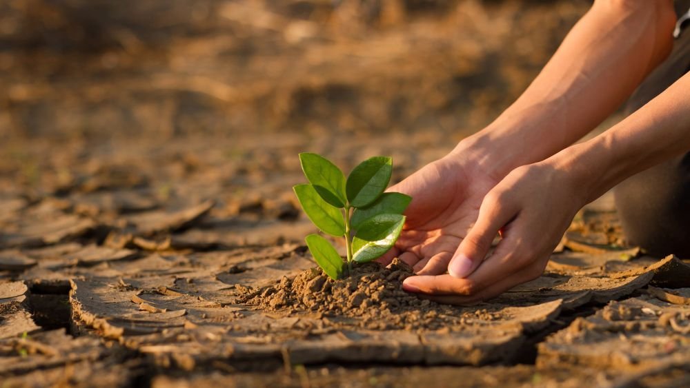Climate change agritech