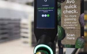 Avocado ripeness scanner