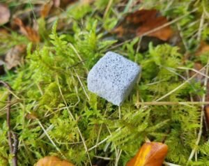 Rhizocore